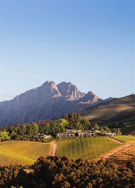 Top 10 Best Wine Tasting Experiences In Cape Town Artofit
