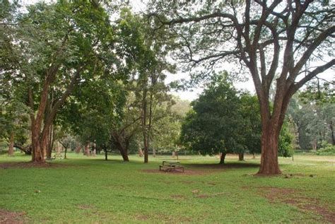 Nairobi Arboretum 2020 Alles Wat U Moet Weten Voordat Je Gaat