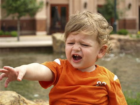 Toddler Aggression When To Worry And How To Stop Your Toddler From