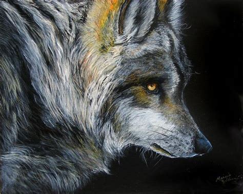 Dark Of The Night Wolf By Marcia Baldwin From Wildlife