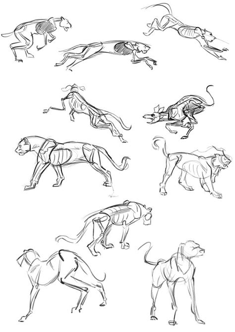 Lets Animate Study 4 Legged Animals Animal Drawings Pencil Sketch
