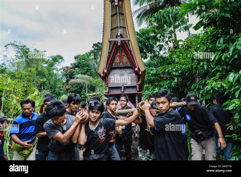 During A Traditional Ritual Funeral Of The Tana Toraja The Men Of The