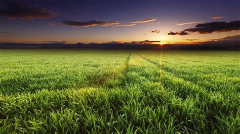 Grass Field Landscape Nature Sunset Panoramas Hd Wallpaper