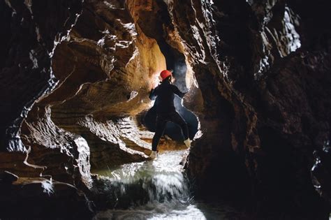 Waitomo Glowworm Cave Tours And Black Water Rafting Adventures