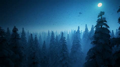 H Moonlight Snowflakes Forest In A Winter Night Instrumental Music Relax Sleep Study