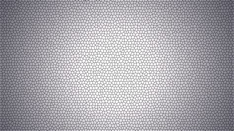 48 Light Grey Background Wallpaper On Wallpapersafari