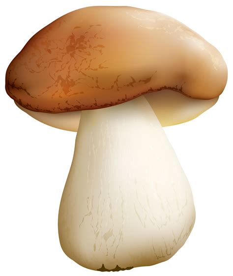 Mushroom Png Clipart Image Clipart Best Clipart Best