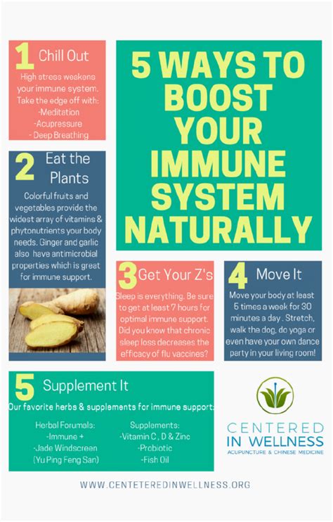 Natural Ways To Boost Your Immune System AtoAllinks