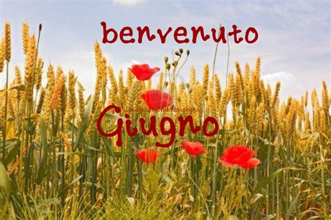 Giugno Benvenuto ~ Il Magico Mondo Dei Sogni