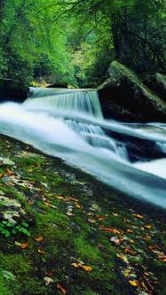 Beautiful Nature Landscapes Woodland Waterfall