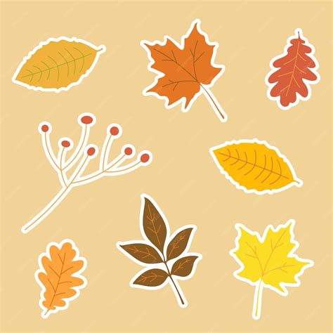 Premium Vector Autumn Leaves Stickers Set