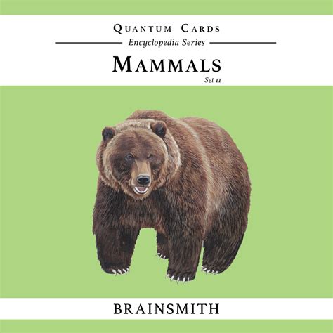 Mammals Set Ii Flashcards For Kids Quantum Cards By Brainsmith