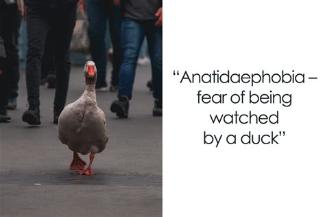 116 Weird Phobias People Can Actually Suffer From