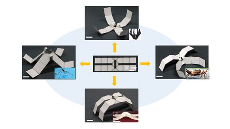 Researchers Make Robots From Self Folding Kirigami Materials Nc State