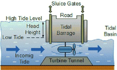 Tidal Barrage Power Generation Tidal Tidal Power Power