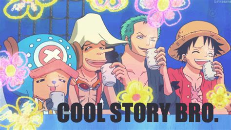 Cool Story Bro One Piece  Wiffle
