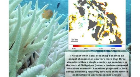 Predicting Future Of Coral Reefs Under Climate Change Eurasia Review