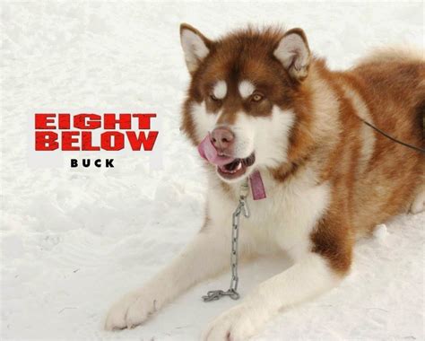 If you want to view this list of eight below. Related image