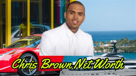 Chris Brown Net Worth 2023 Behind The Music And Millions Toppersdiary