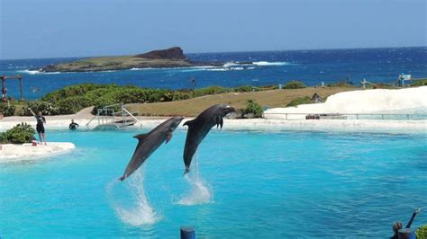 Sea Life Park Hawaii Admission