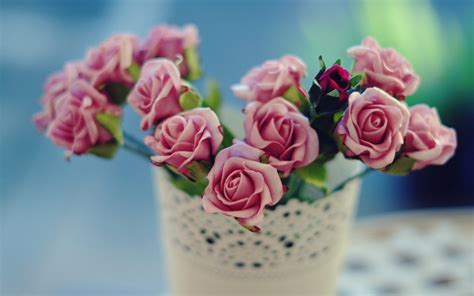Verschicken Sie Blumen und bereiten Sie Freude! - Trendomat.com