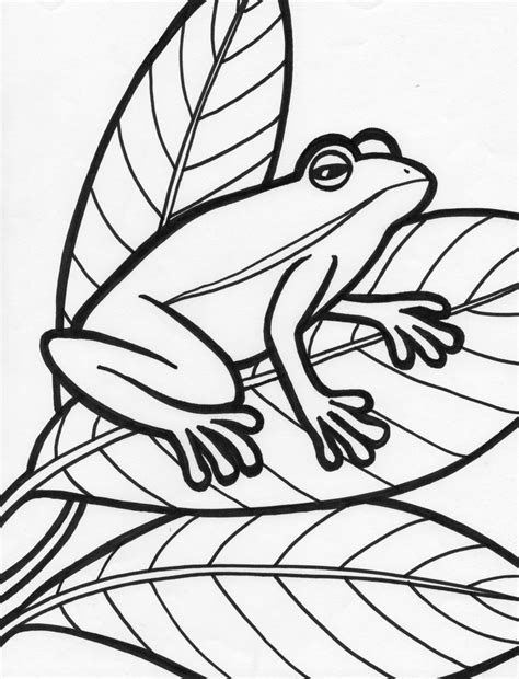 Printable Frog Coloring Pages Printable World Holiday