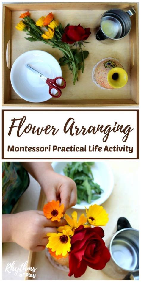 Flower Arranging Montessori Practical Life Activity For Kids