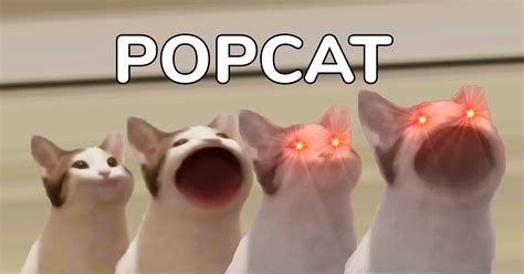 เซียน Popcat เล่นยังไง พาไทยทะยานสู่อันดับ 1 ของโลก Beartai