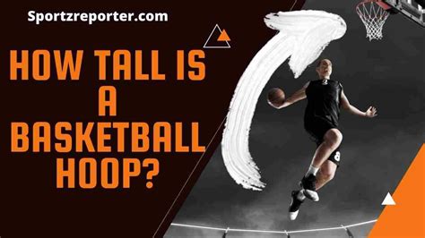How Tall Is A Basketball Hoop Sportz Reporter