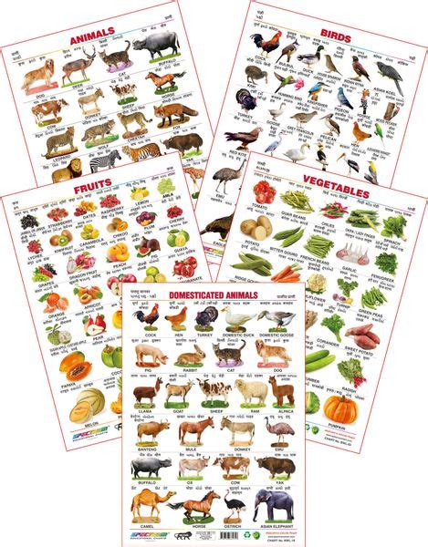 Spectrum Educational Wall Charts Set Of 5 Animals Birds Fruits
