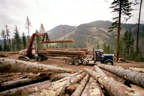 Drought Conditions Put Brakes On Summer Season Logging Washingtons