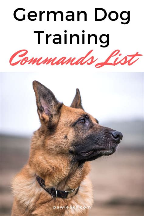 Ultimate German Dog Training Commands List Dog Training German