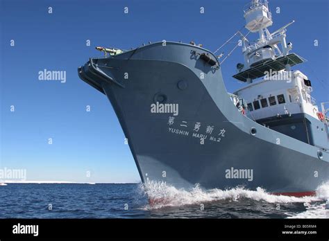 Yushin Maru No2 Whale Catcher Harpoon Ship Of The Japanese Whaling