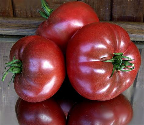 Daniel Burson Tomato A Comprehensive Guide World Tomato Society
