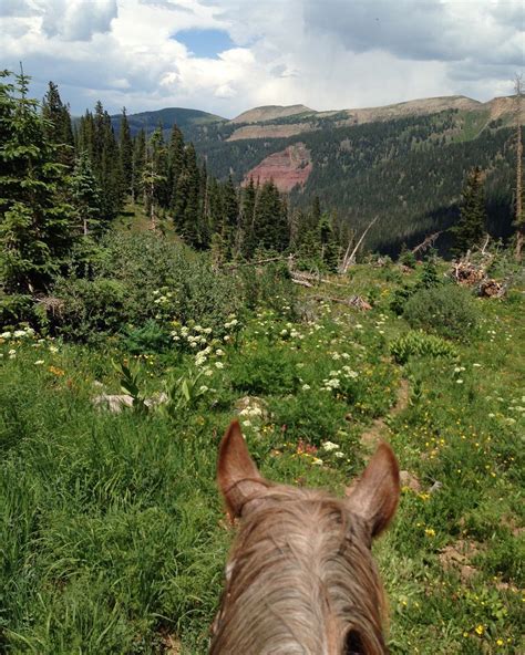 Horseback Riding Durango Trails