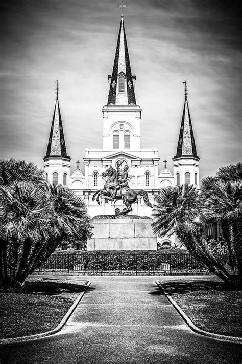Art Print And Stock Photo New Orleans St Louis Cathedral Black And