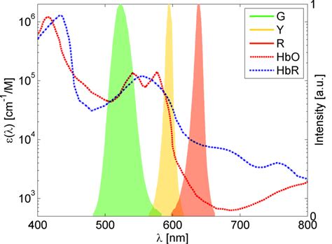 Optical Absorption Of Oxy And Deoxy Hemoglobin Hbo 2 And Hbr And