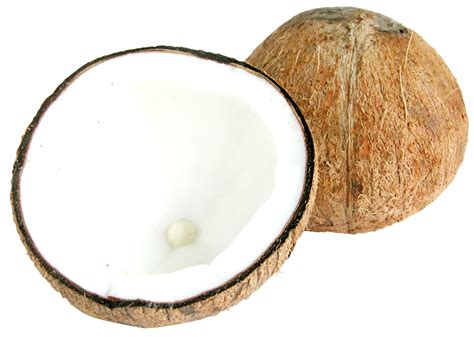 Coconut Png Images Transparent Background Png Play
