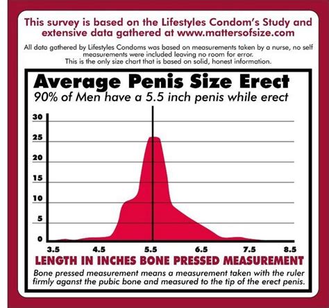 Porn Penis Size Chart Sex Pictures Pass