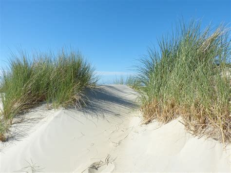 Dünen Nordsee Strand Kostenloses Foto Auf Pixabay