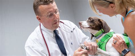 Our mission at family pet hospital is to provide compassionate and conscientious care for our patients, information and support for our clients and to provide a positive working environment for. Hershey Veterinary Hospital - Because Pets Are Family