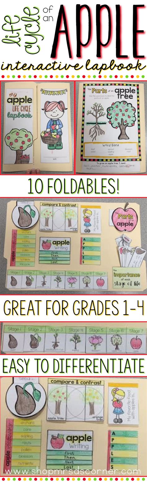 Apple Life Cycle Foldables 239