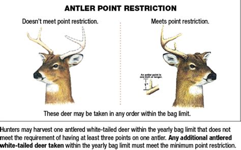Deer Seasons And Bag Limits Maryland Hunting Eregulations