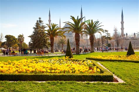 Colorful Spring Sunset In Sultan Ahmet Park In Istanbul Turkey Europe