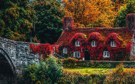 Download Wallpaper 3840x2400 House Autumn River Foliage Autumn Colors 4k Ultra Hd 1610 Hd