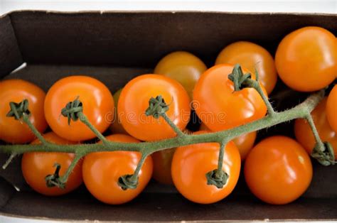 Orange Cherry Tomatoes On A Branch On A Substrate Minimalism Stock