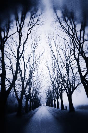 Dark Country Road Stock Photo Download Image Now Spooky Anxiety