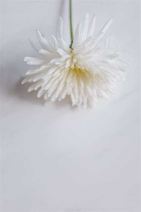 Sharon Soon's Portfolio
