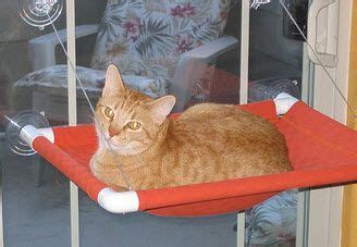 Cat bed diy diy bed cat beds cat house diy beds for cats bunny beds kitty house lit chat diy cat window perch. PVC Cat Window Perch - PetDIYs.com (With images) | Cat ...