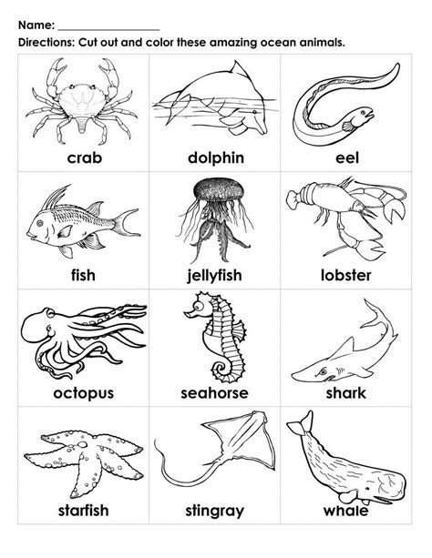 Free Printable Sea Creatures Flashcards Flashcards Sea Animals